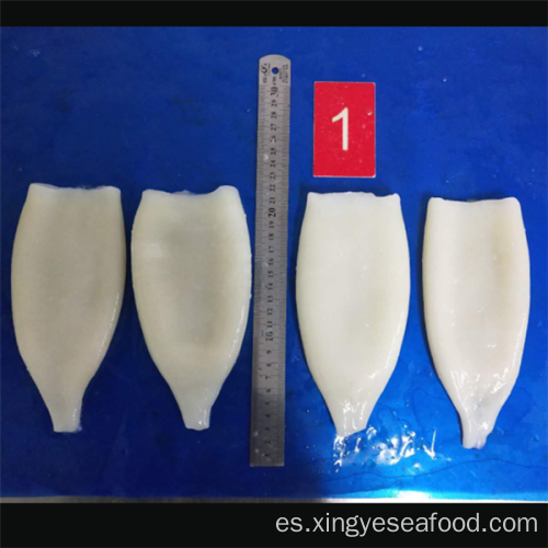 Tubos de calamar congelados IQF Todarodes Pacificus